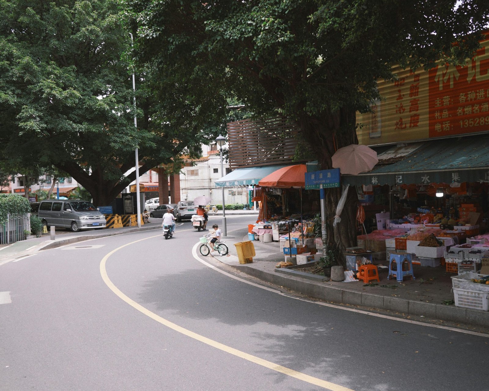 Straße auf Mallorca, die an einem Markt mit Bäumen vorbeiführt, aufgenommen von Lee Tianxian