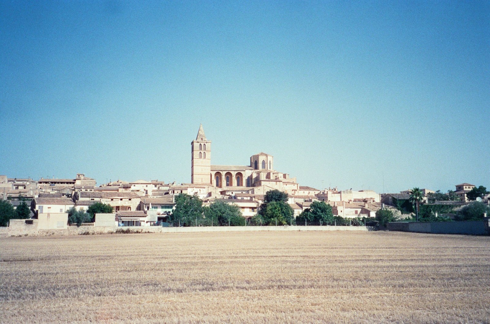 Stadtansicht auf Mallorca von einem Feld aus, aufgenommen von Emily Barnett, zeigt die Stadt im Hintergrund mit umliegender Natur.