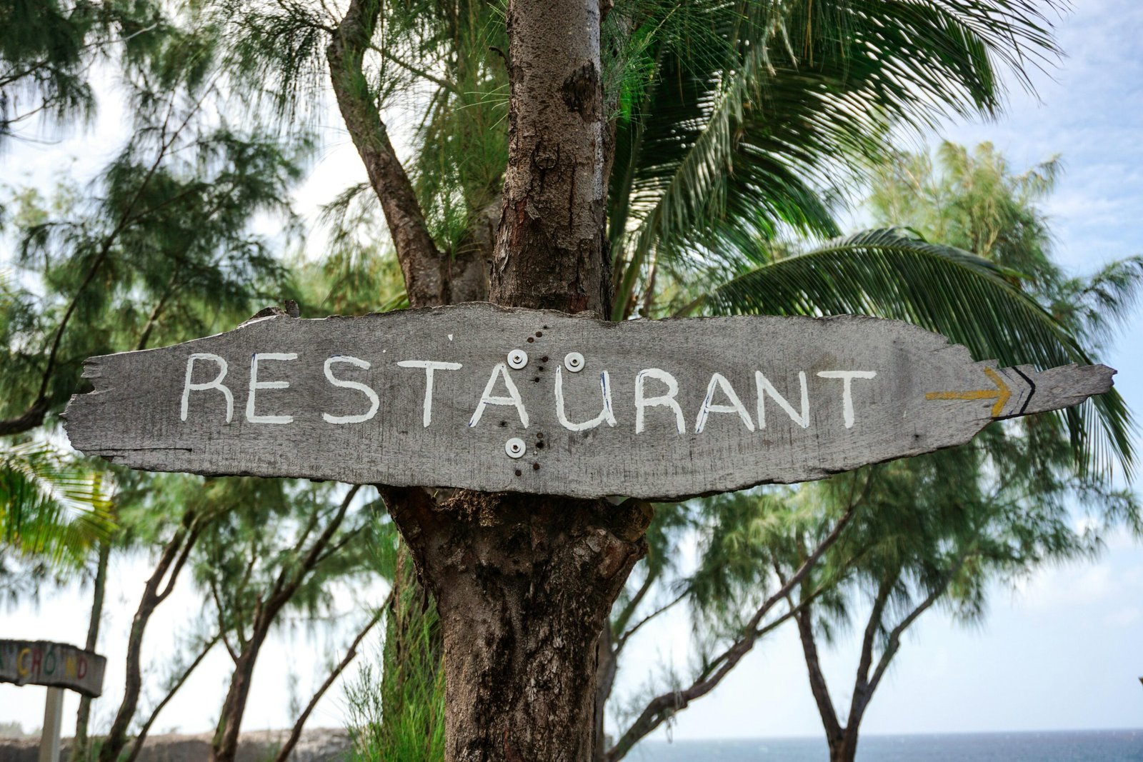 Holzschild weist den Weg zu einem Restaurant neben dem Ozean auf Mallorca, fotografiert von Chloe Christine