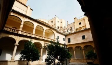 Innenhof auf Mallorca mit einem Baum in der Mitte, umgeben von alten Mauern, aufgenommen von Max Harlynking.