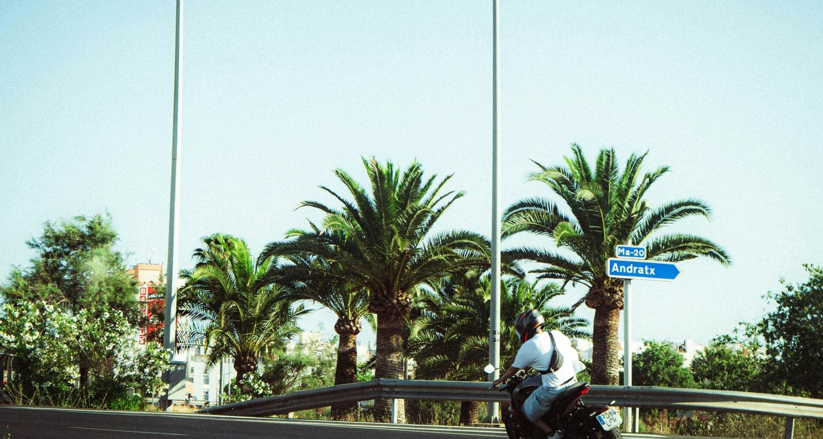 Motorradfahrer fährt an Palmen auf Mallorca vorbei, die Straße führt durch die mediterrane Landschaft, aufgenommen von Polina Cherkasova.