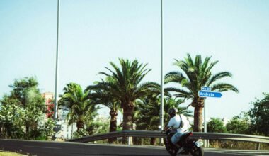 Motorradfahrer fährt an Palmen auf Mallorca vorbei, die Straße führt durch die mediterrane Landschaft, aufgenommen von Polina Cherkasova.