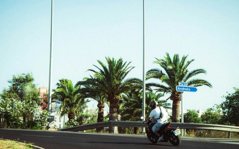 Motorradfahrer fährt an Palmen auf Mallorca vorbei, die Straße führt durch die mediterrane Landschaft, aufgenommen von Polina Cherkasova.