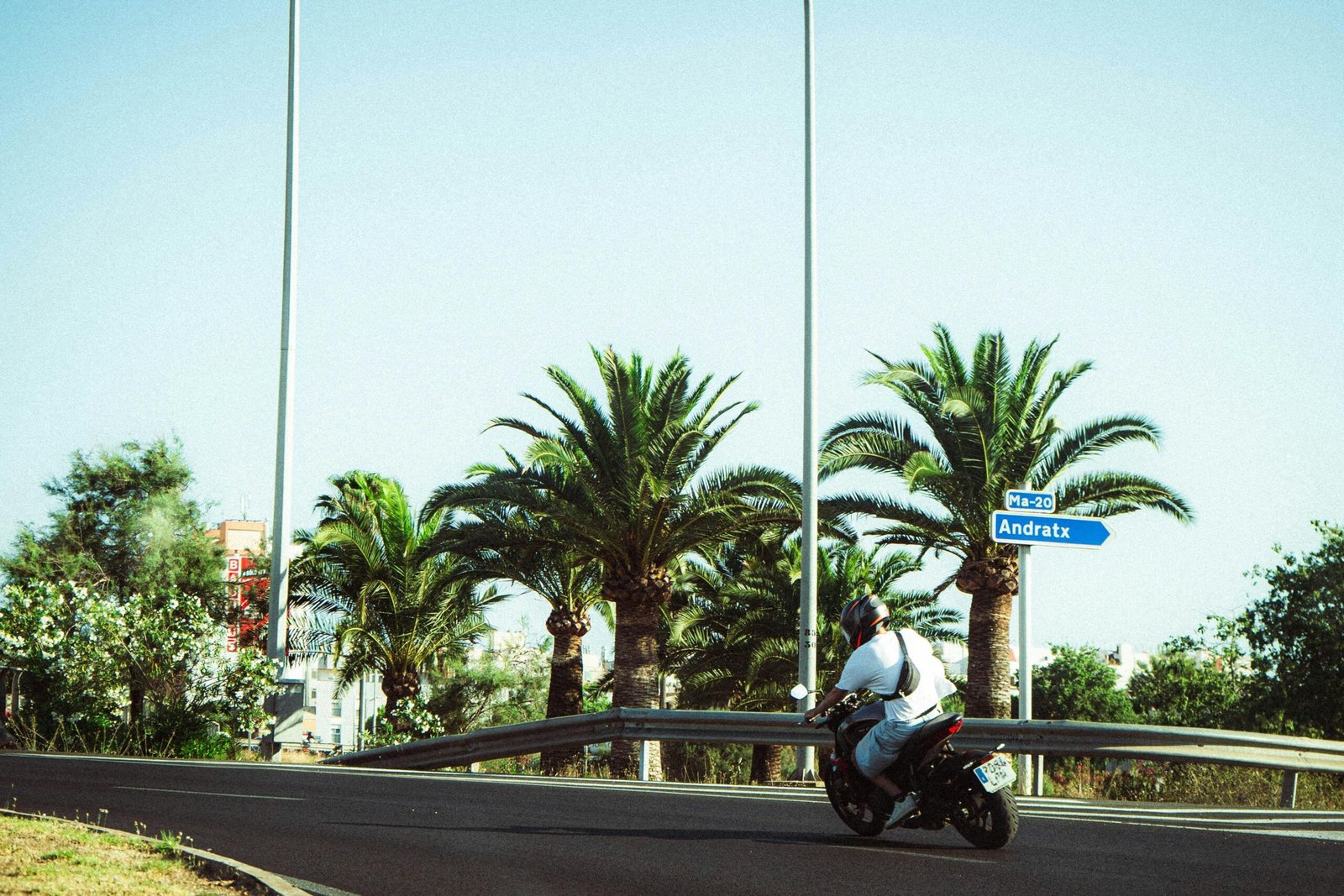 Motorradfahrer fährt an Palmen auf Mallorca vorbei, die Straße führt durch die mediterrane Landschaft, aufgenommen von Polina Cherkasova.