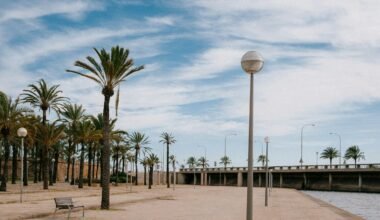 Eine Bank neben einem Wasser auf Mallorca, umgeben von Natur, fotografiert von Julian