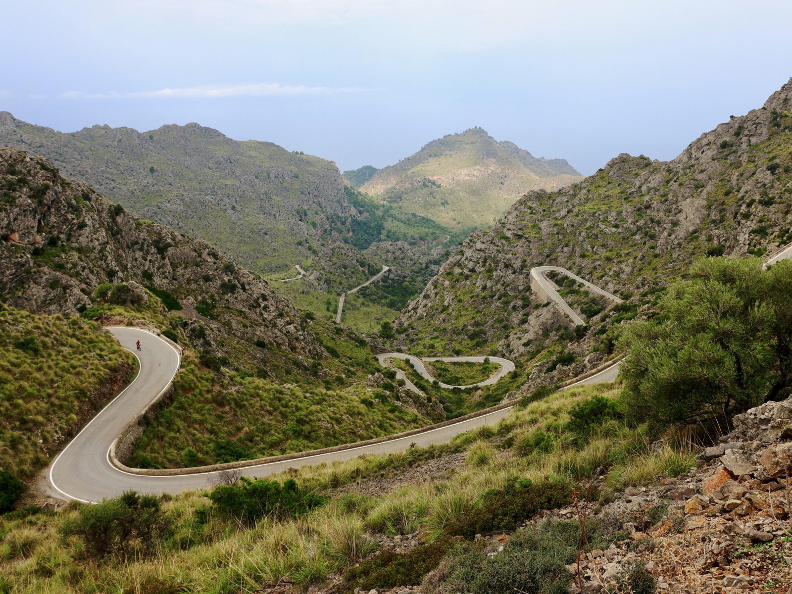 Eine gewundene Straße in den Bergen auf Mallorca, umgeben von grünem Bewuchs und Naturkulisse