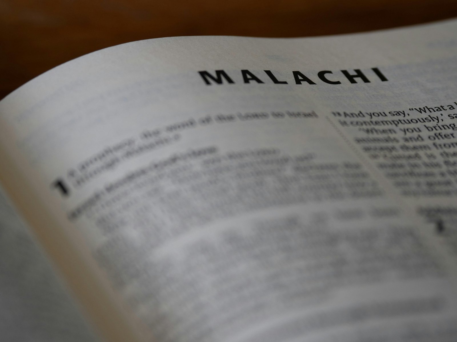 Nahaufnahme eines offenen Buches mit dem Wort 'ihcalam' auf Mallorca, fotografiert von Brett Jordan.
