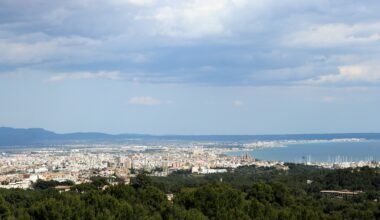 Stadtansicht auf Mallorca mit Bäumen und Wasser im Hintergrund, aufgenommen von Clemens van Lay.
