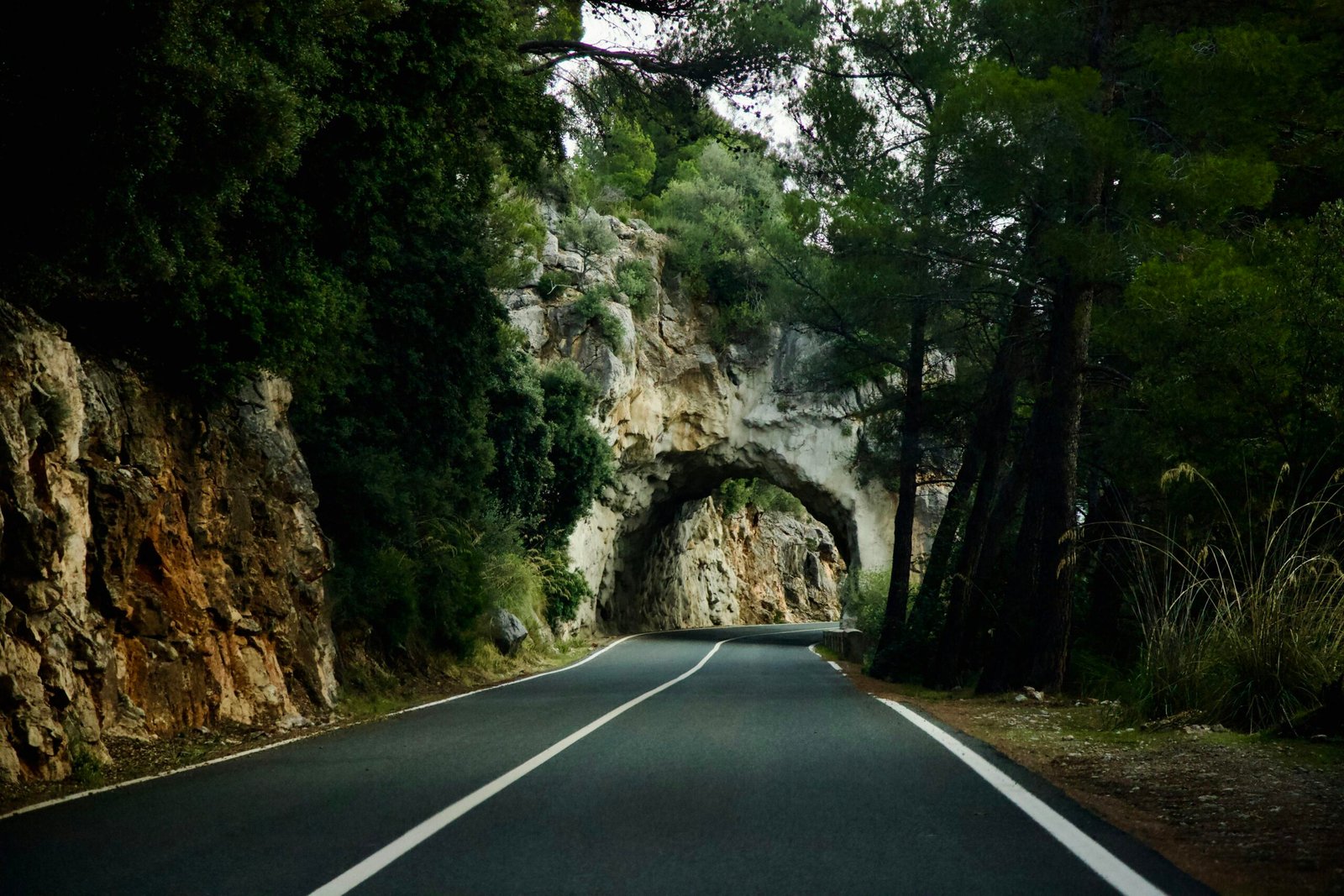 Straße mit einem Tunnel in der Mitte auf Mallorca, aufgenommen von Stock Birken