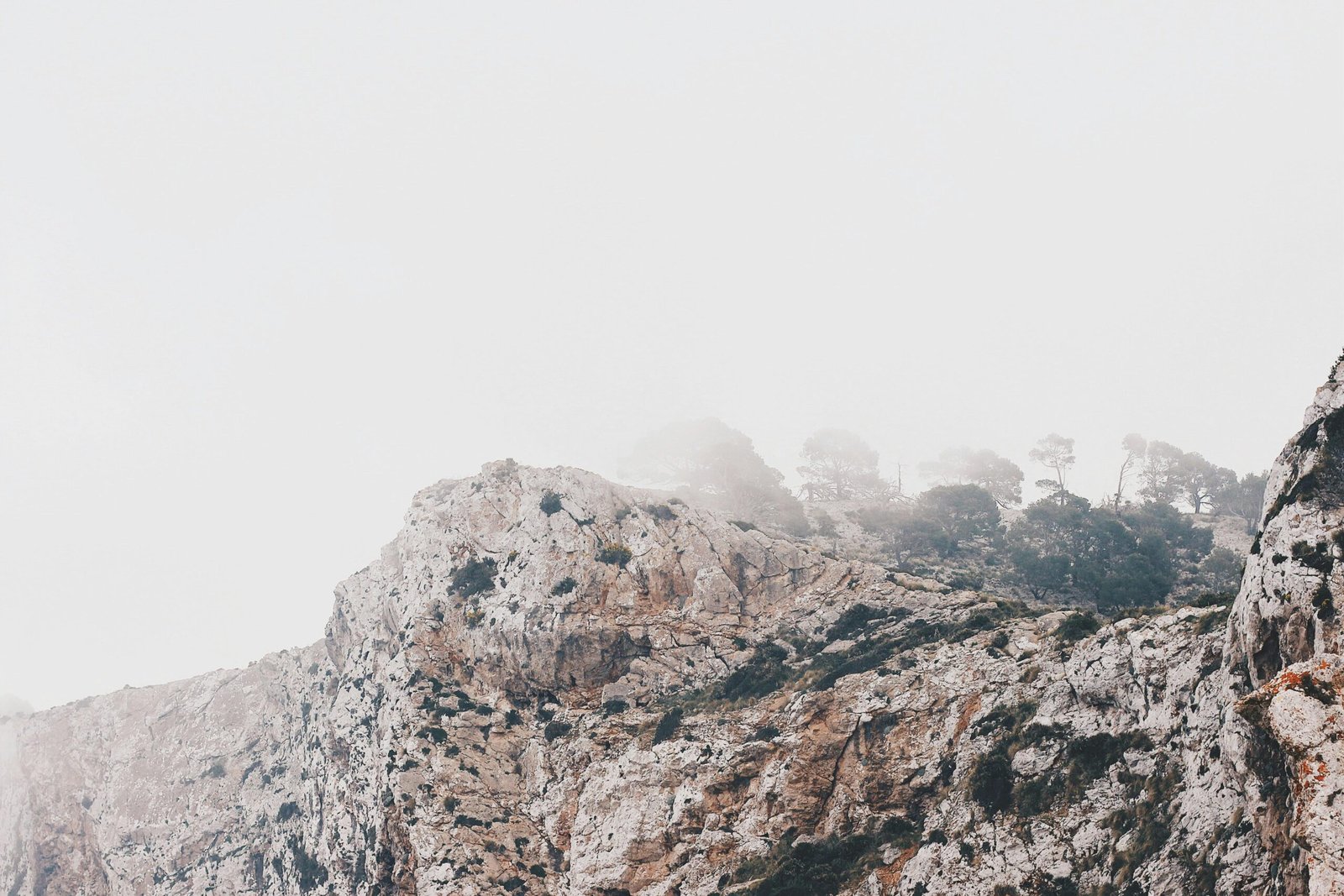 Nahaufnahme einer weißen, felsigen Berglandschaft auf Mallorca mit scharfem Fokus