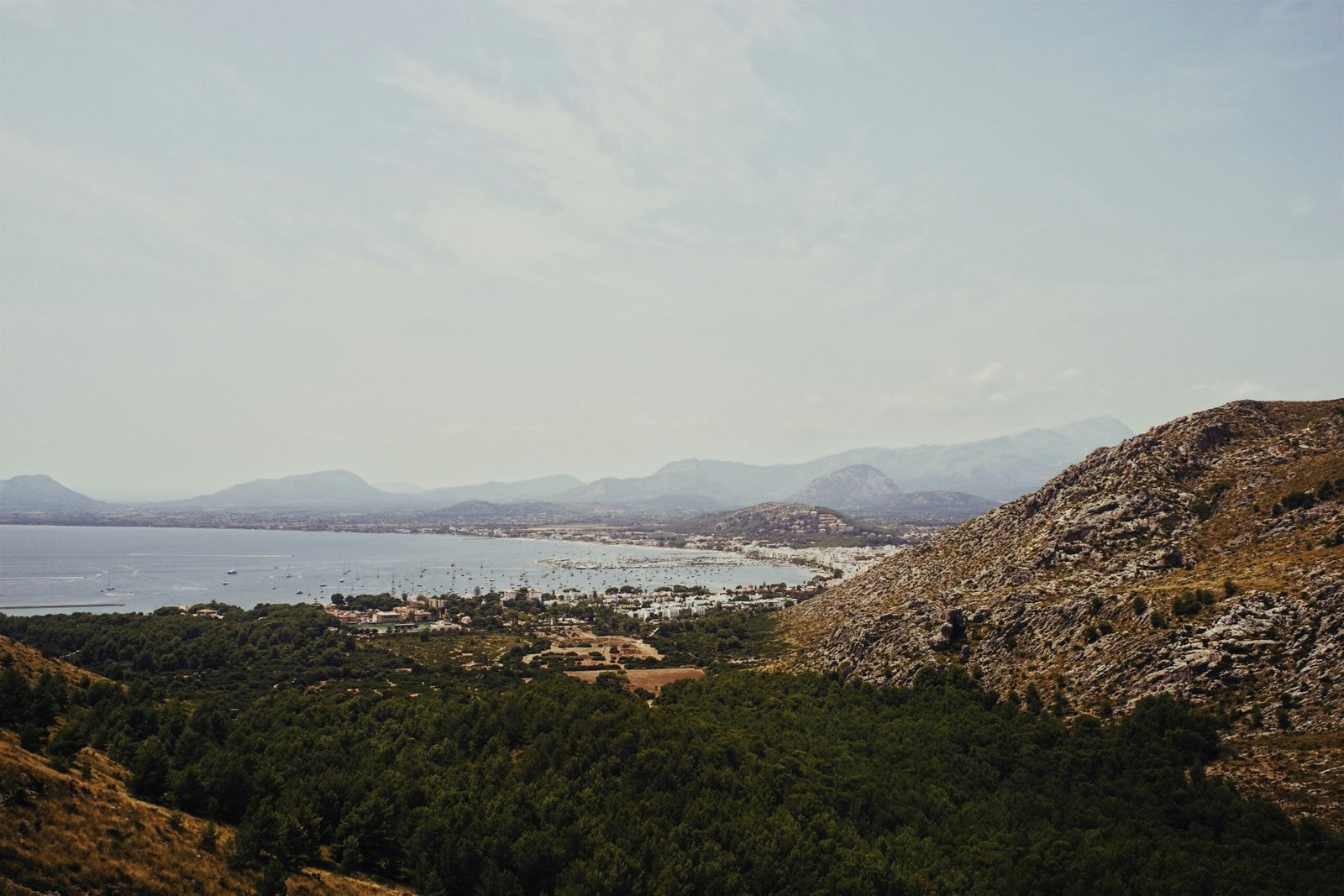 Grüne Bäume nahe den Bergen und dem Meer auf Mallorca bei Tageslicht, aufgenommen von Oscar Nord