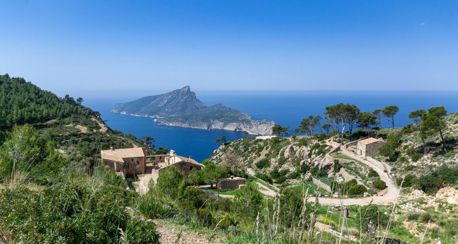 Grüne Bäume nahe eines Gewässers auf Mallorca bei Tageslicht, aufgenommen von David Vives.