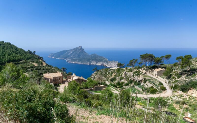 Grüne Bäume nahe eines Gewässers auf Mallorca bei Tageslicht, aufgenommen von David Vives.