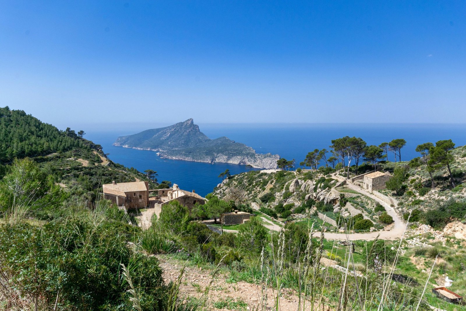 Grüne Bäume nahe eines Gewässers auf Mallorca bei Tageslicht, aufgenommen von David Vives.