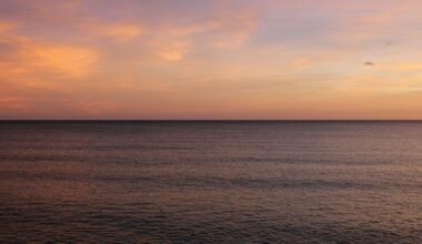 Das Meer auf Mallorca spiegelt den Sonnenuntergang wider, mit sanften Wellen und warmen Farben am Himmel.