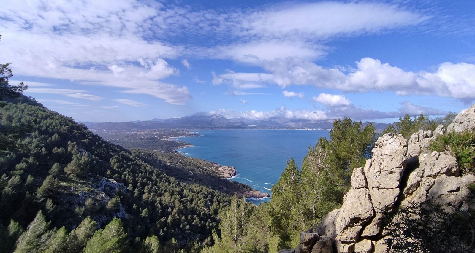 Szenischer Blick auf ein Wassergebiet auf Mallorca, umgeben von Bäumen, aufgenommen von Muzykalne Podróże.
