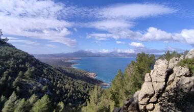 Szenischer Blick auf ein Wassergebiet auf Mallorca, umgeben von Bäumen, aufgenommen von Muzykalne Podróże.