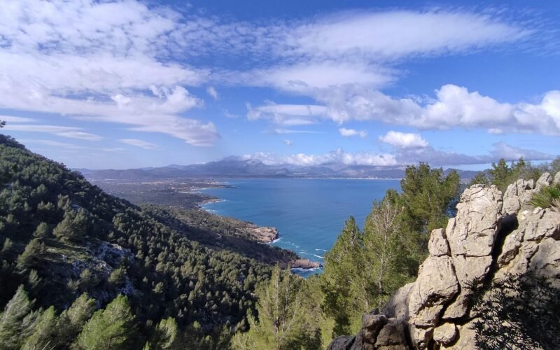 Szenischer Blick auf ein Wassergebiet auf Mallorca, umgeben von Bäumen, aufgenommen von Muzykalne Podróże.