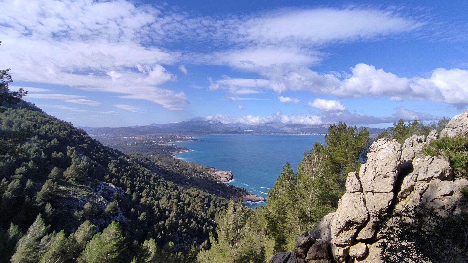 Szenischer Blick auf einen Wassersee umgeben von Bäumen auf Mallorca, aufgenommen von Muzykalne Podróże