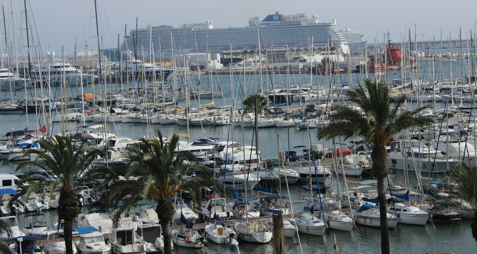 Palmen über einem Hafen auf Mallorca mit Segelbooten und einem Schiff, fotografiert von Susana Bartolome.