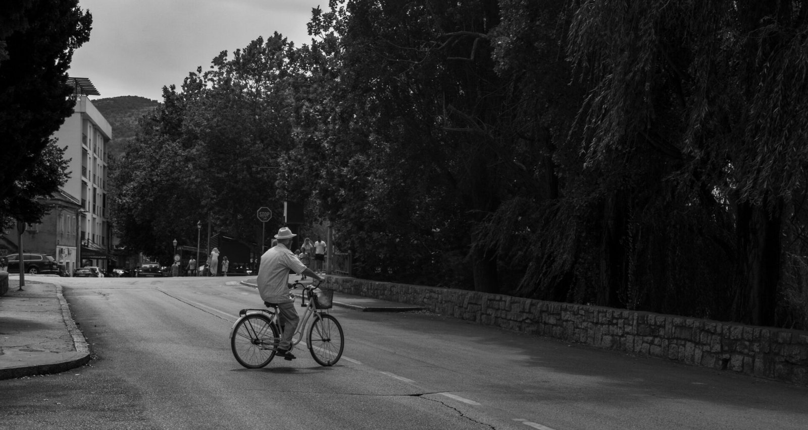 Person fährt Fahrrad auf einer Straße auf Mallorca, umgeben von mediterraner Natur