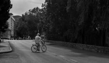 Person fährt Fahrrad auf einer Straße auf Mallorca, umgeben von mediterraner Natur