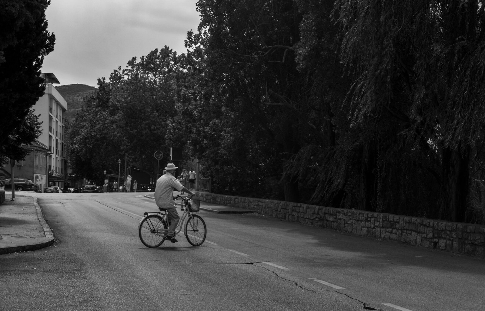 Person fährt Fahrrad auf einer Straße auf Mallorca, umgeben von mediterraner Natur