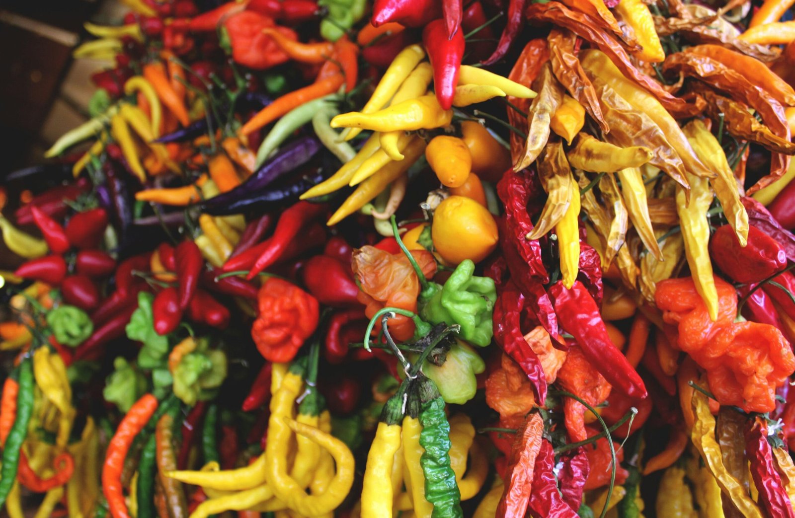 Rote und gelbe Chili Peppers auf Mallorca, fotografiert von L'Odyssée Belle, mit lebendigen Farben und detailreicher Darstellung.