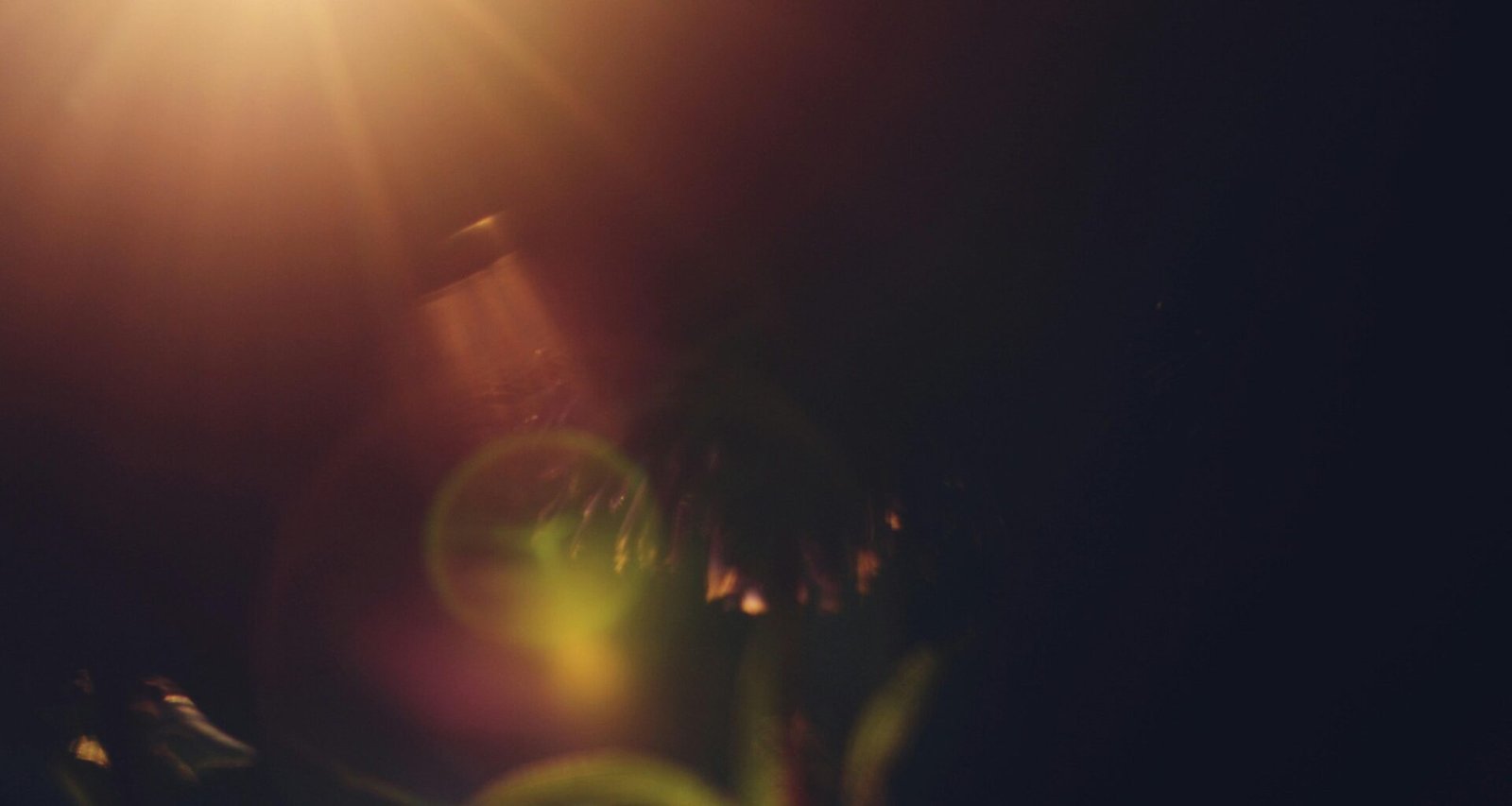 Sonnenlichtstrahlen fallen durch dunkles, unscharfes Laub auf Mallorca, aufgenommen von Liana S.