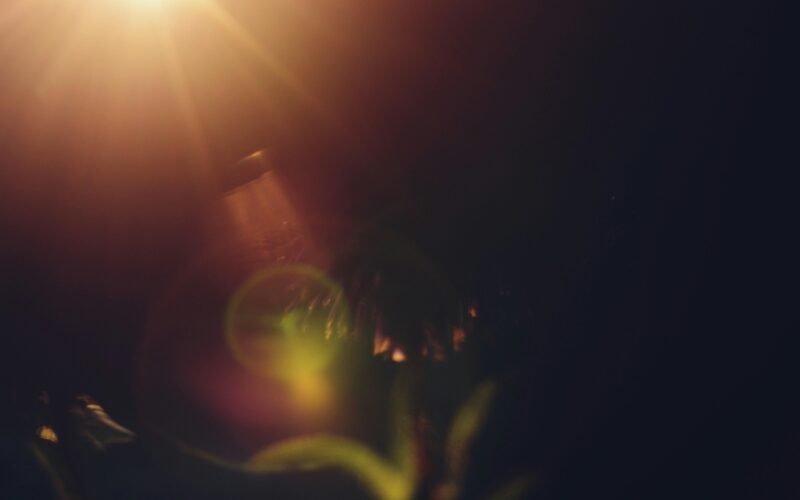 Sonnenlichtstrahlen fallen durch dunkles, unscharfes Laub auf Mallorca, aufgenommen von Liana S.